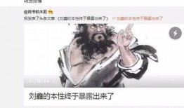 刘鑫最近爆料视频播放,揭秘背后惊人真相